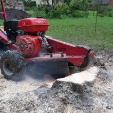 celmu frēze pārvērš celmu skaidās, celmu frēzēšana