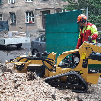 celmu frēzēšana ar Vermeer SC30TX celmu frēzi 