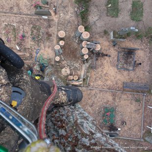 bīstamo koku zāģēšana kapos