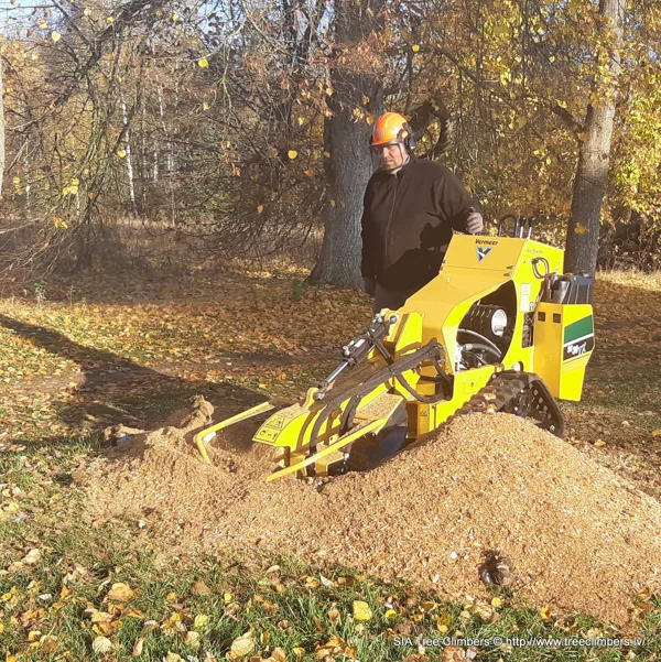 celmu frēzēšana ar Vermeer SC30TX celmu frēzi