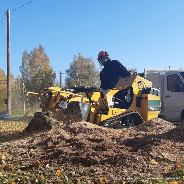celmu frēzēšana ar Vermeer SC30TX celmu frēzi